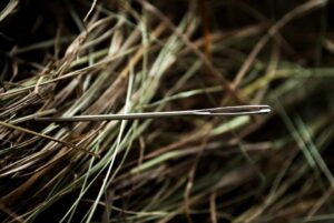 Close-up photo of a metal needle lying in dry grass, illustrating the concept of finding a needle in a haystack.
