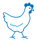 pands-rooster-icon