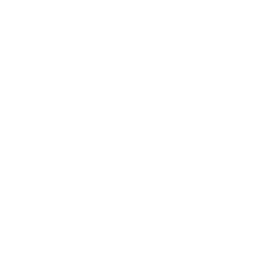 wday-partners-reversed-badge-built-on-workday@4x